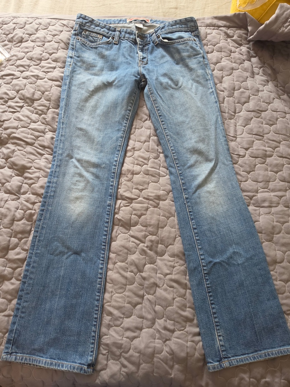 GAP Premium Light Blue Straight-Leg Women’s Jeans